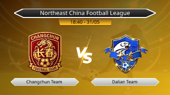 Northeast China Football League Changchun Team VS Dalian Team